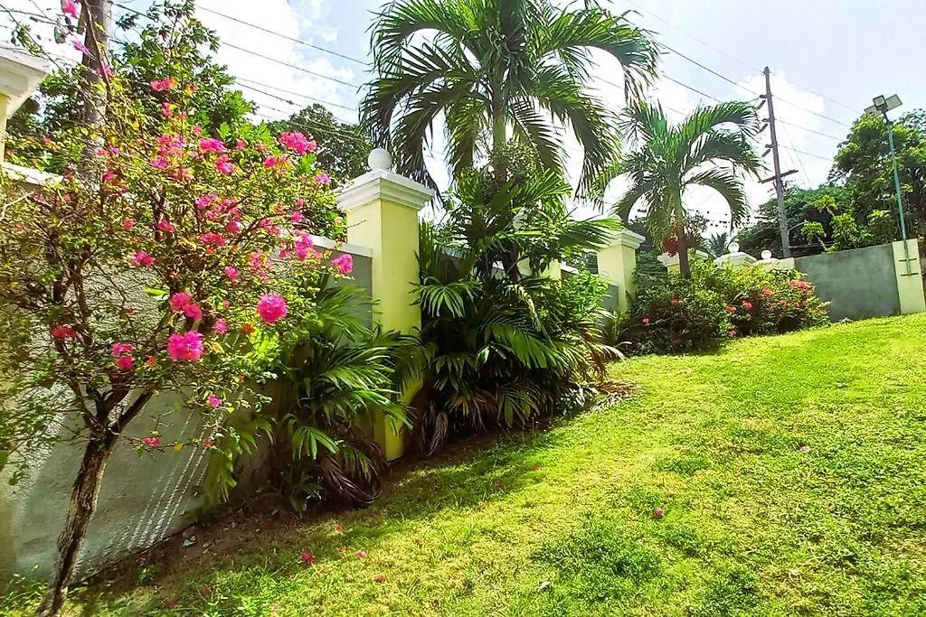 Apartment Jamrock Dream Villa Ocho Rios